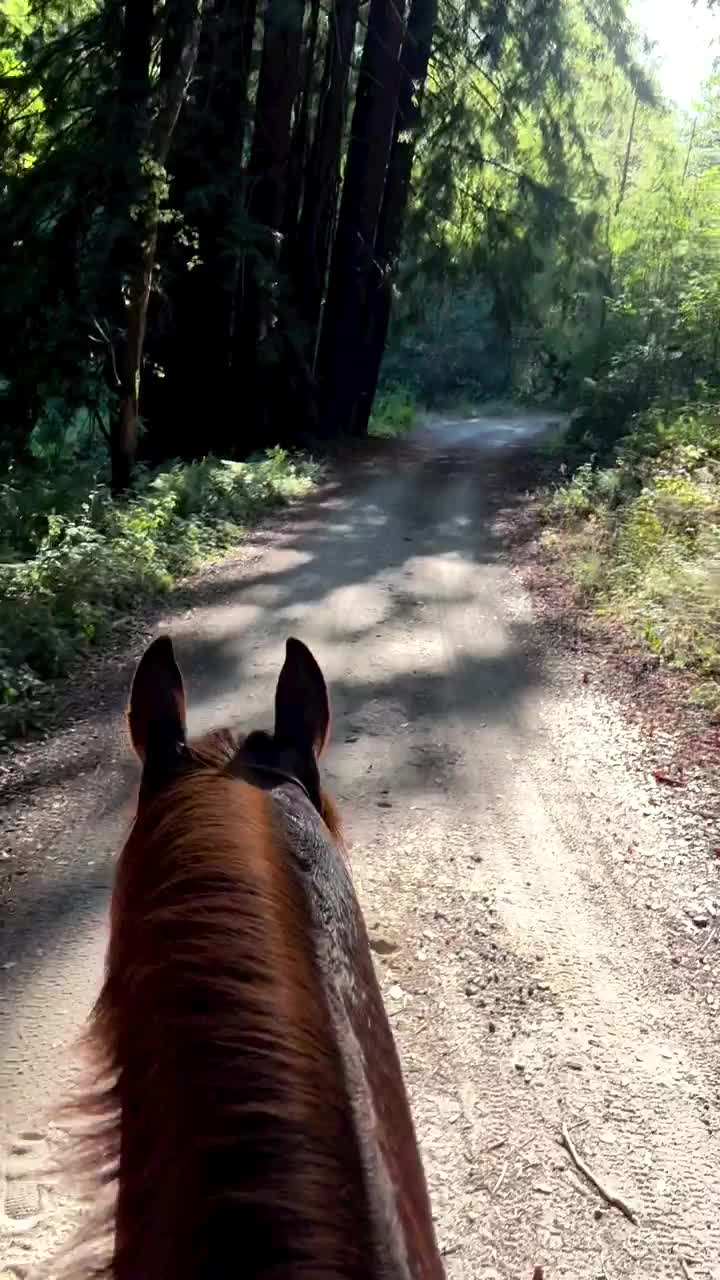 Video post from __amber_lydic__.