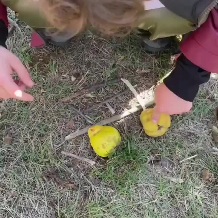Video post from tobycomtr.