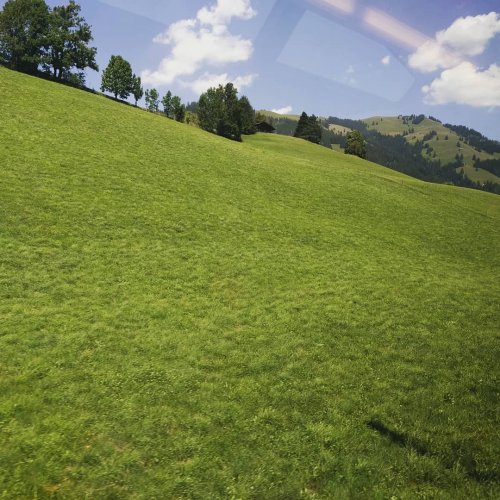 Photo post from hungryhollowfarm.