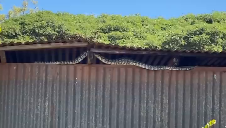 Video post from howefarming.
