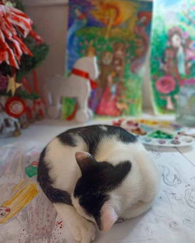 Photo post from oljaidevetpaunica.