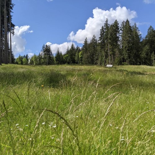 Photo post from hungryhollowfarm.