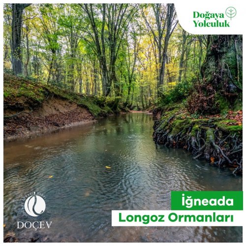 Photo post from dogavecevrevakfi.