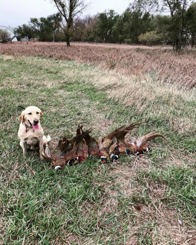 Photo post from epolodgefishingteam.