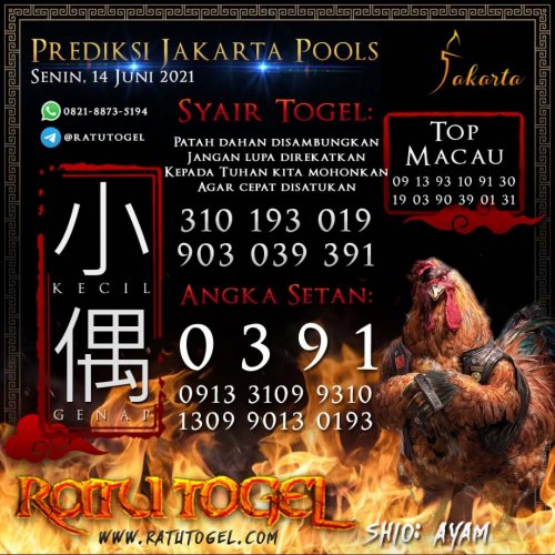 Photo post from bocorantogeltotomacau.