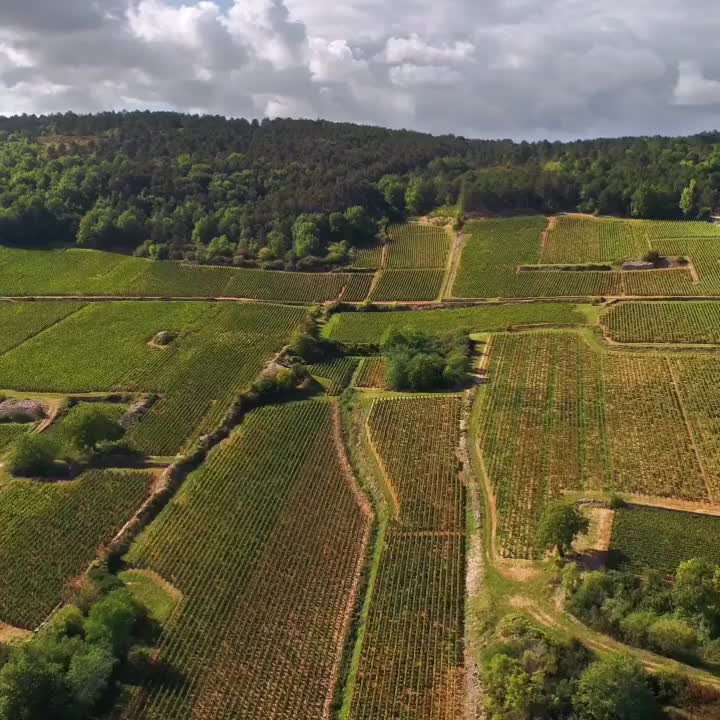 Video post from proximeo.
