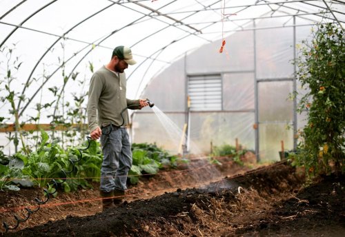 Photo post from farmbox_arizona.