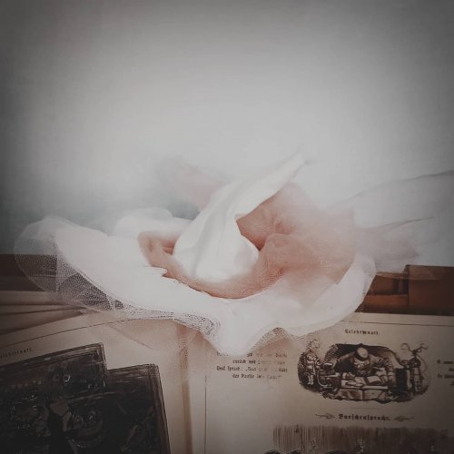 Photo post from oljaidevetpaunica.