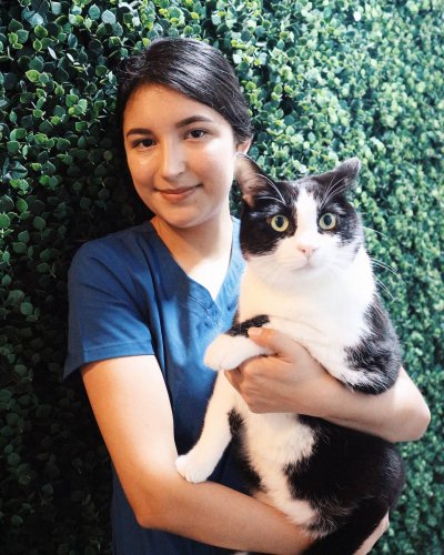 Photo post from medicalpettj.