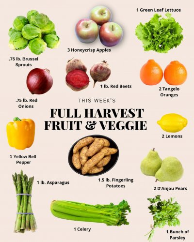 Photo post from farmbox_arizona.