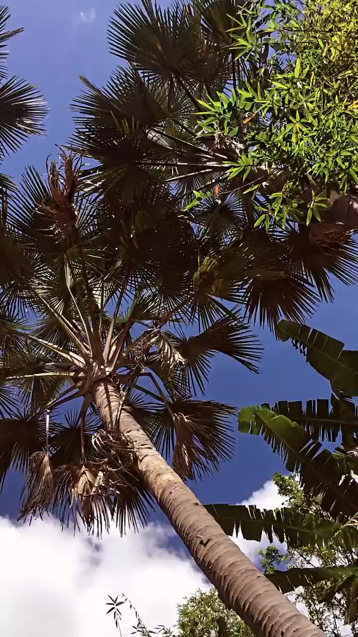 Video post from jakbobby.