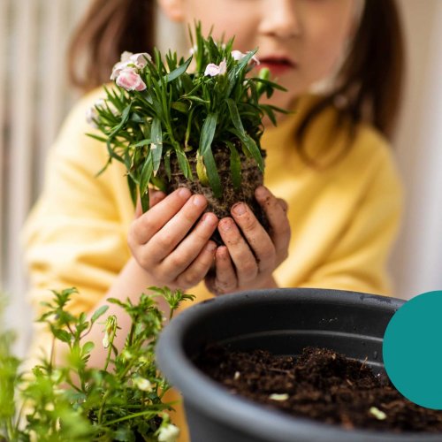 Photo post from ricardo_ch.fr.