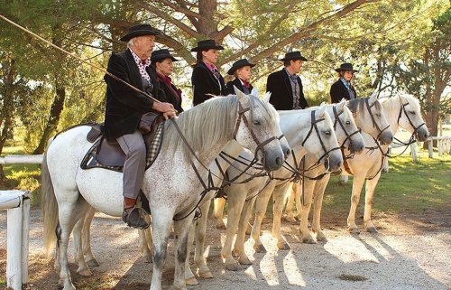 Photo post from taucktravel.