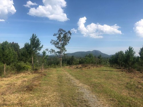 Carousel post from imobiliariammocelin.