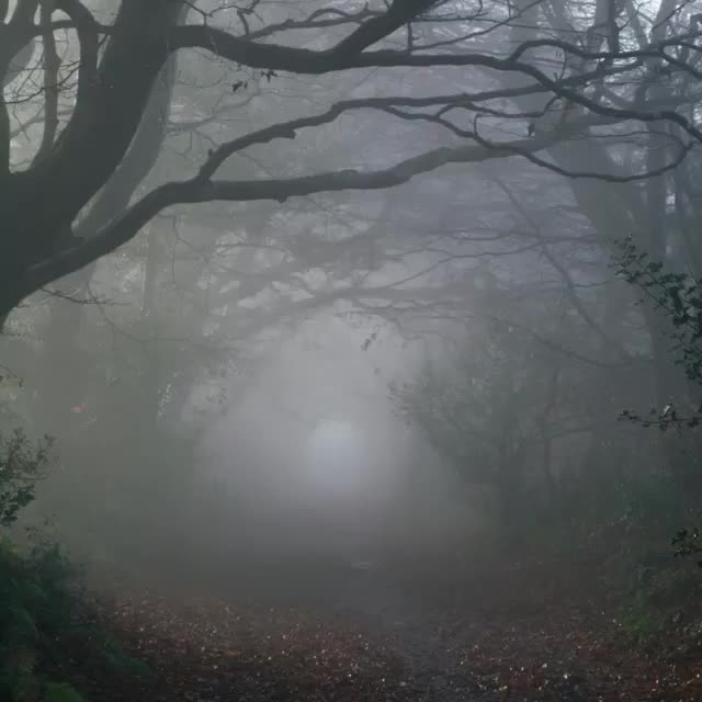 Video post from wildwitchesmagic.