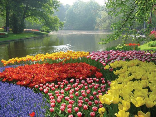 Photo post from taucktravel.