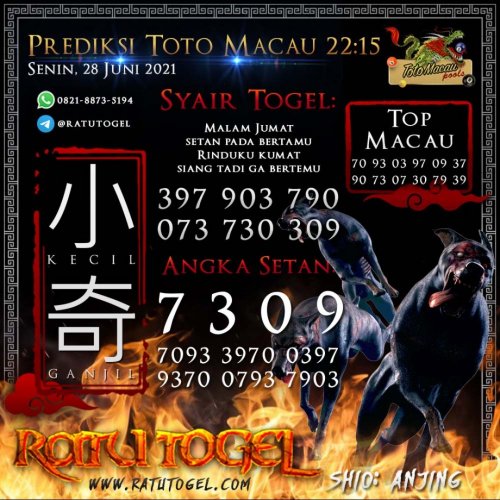 Photo post from bocorantogeltotomacau.