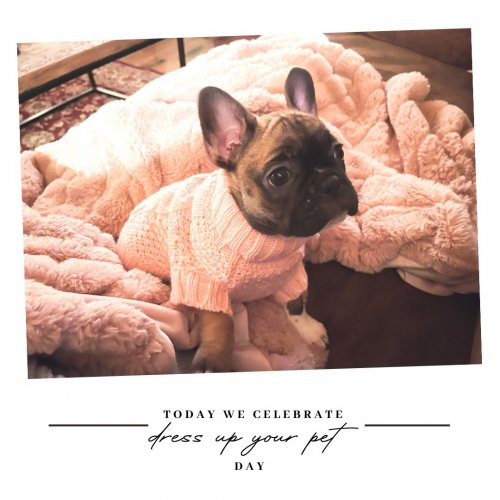 Photo post from bhhsmmr.