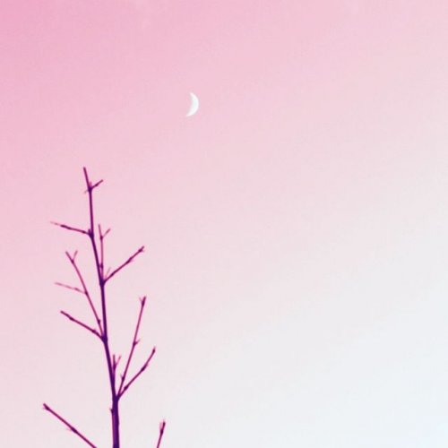 Photo post.