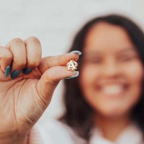 Photo post from alphaphifoundation.