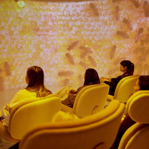 Photo post from comvita_nz.