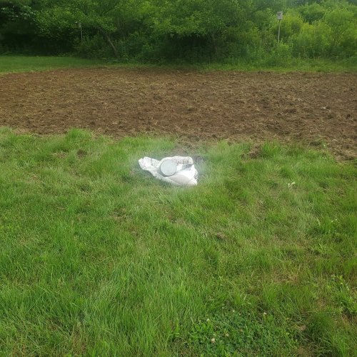 Carousel post from reddogguideservice.