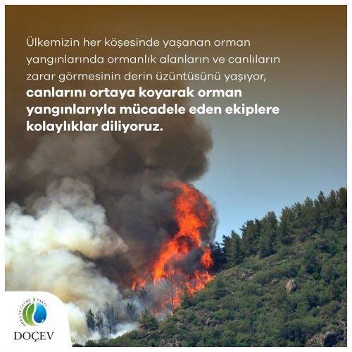 Photo post from dogavecevrevakfi.