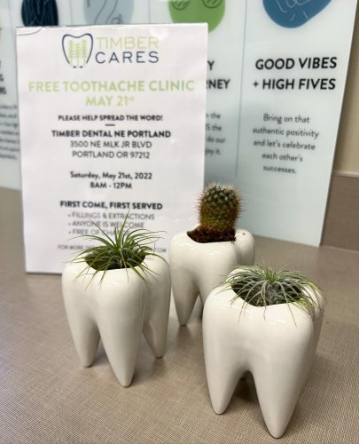 Carousel post from timberdental.