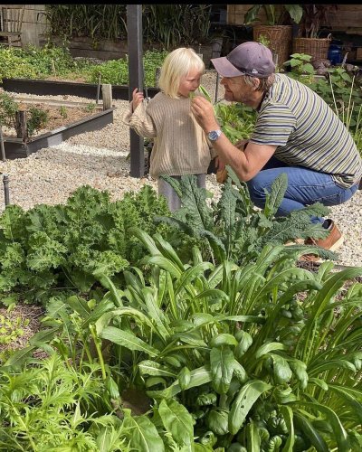 Photo post from currumbinvalleyharvest.