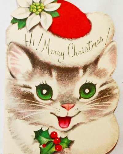 Photo post from margaritabloom.