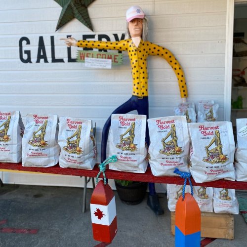 Photo post from freyaetthor.