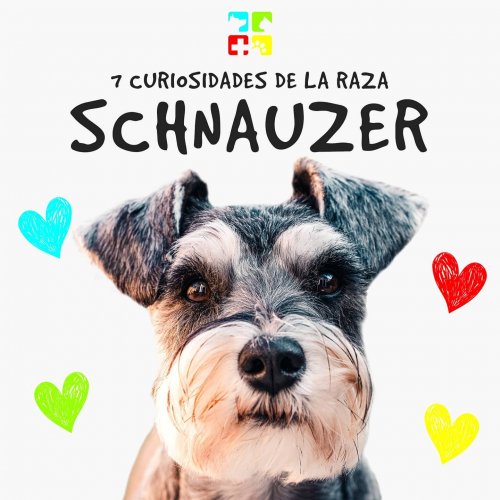 Carousel post from medicalpettj.