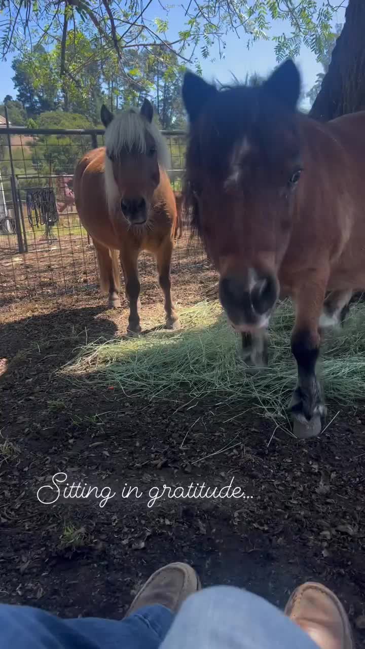 Video post from __amber_lydic__.