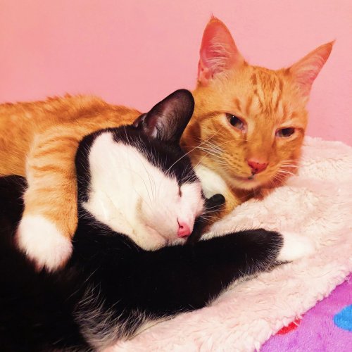 Photo post from margaritabloom.