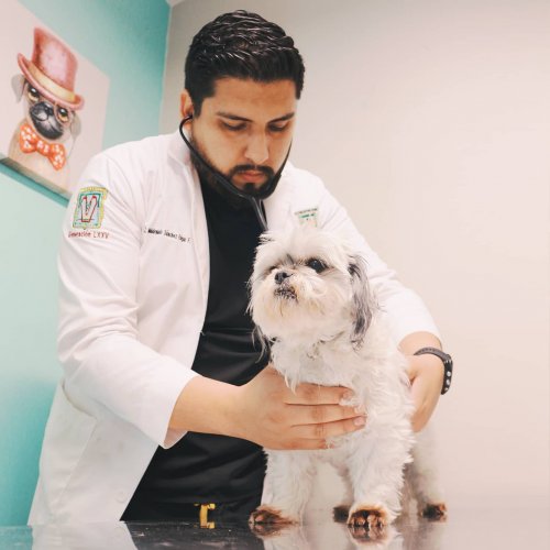 Photo post from medicalpettj.