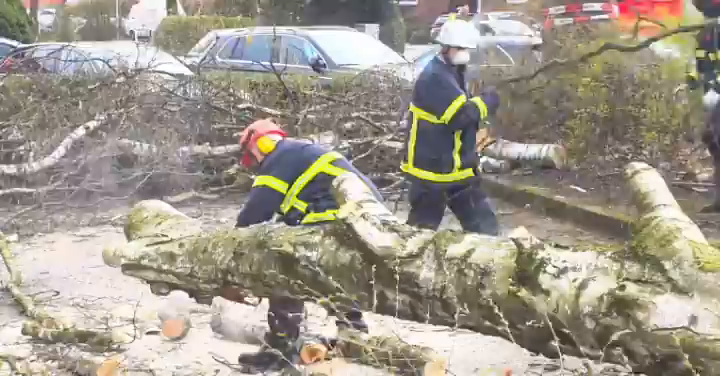 Video post from ff_stellingen.