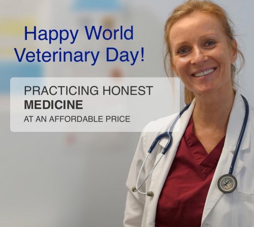 Photo post from familyanimalhospitalcm.