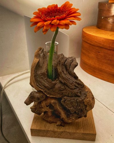 Photo post from terrymillerartist.