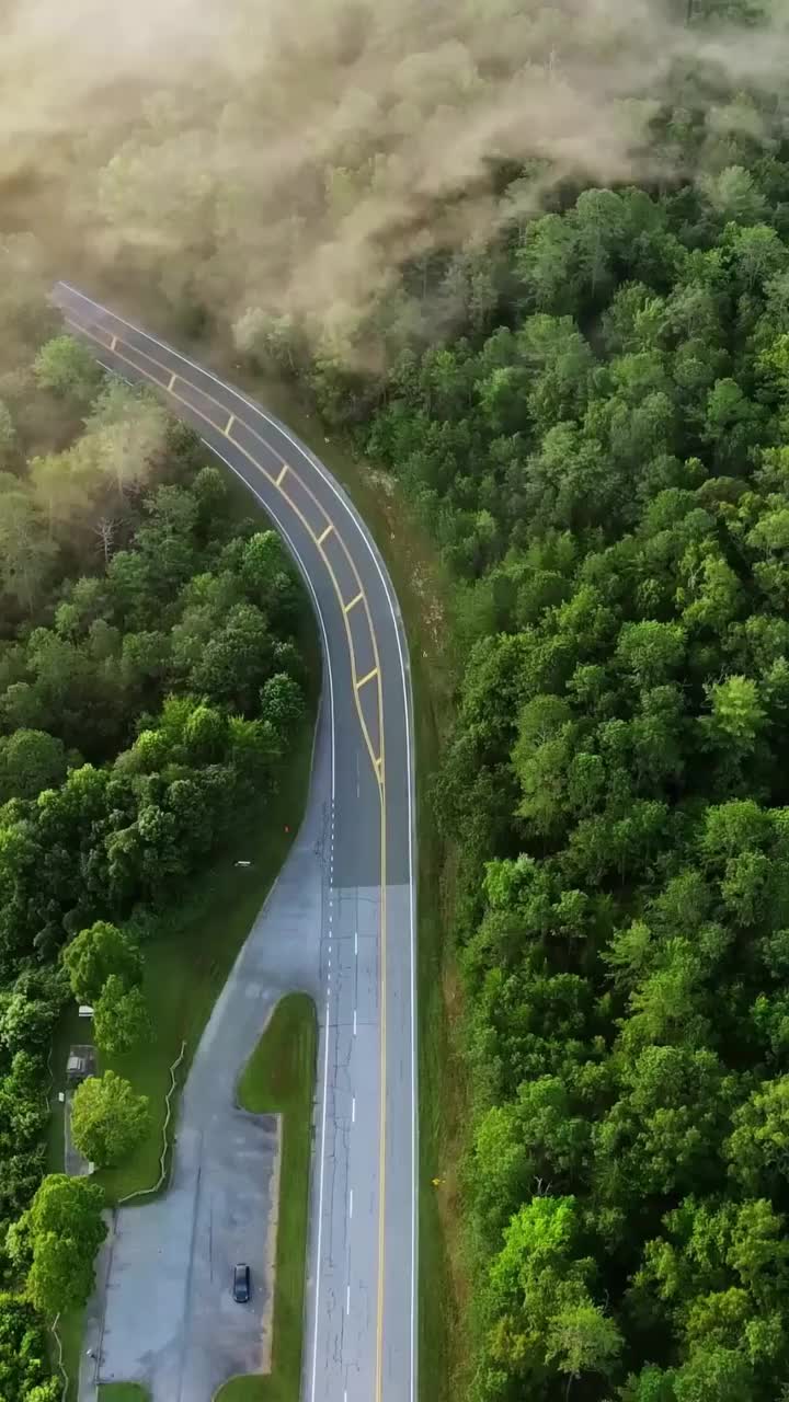 Video post from masteryourbusinessmoves.nl.