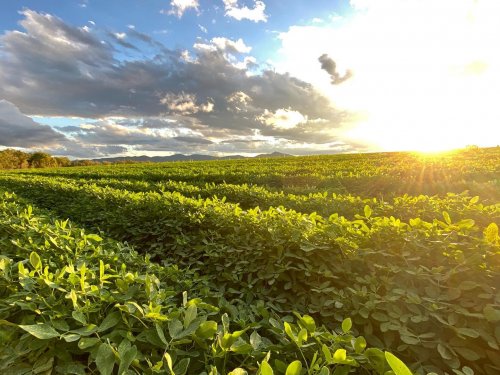 Photo post from howefarming.