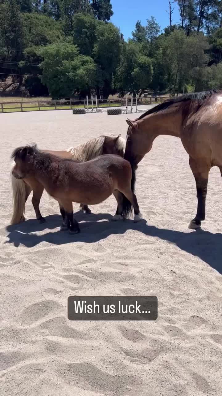 Video post from __amber_lydic__.