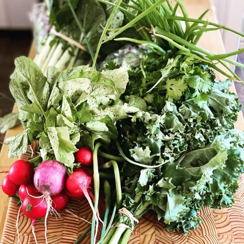 Photo post from freyaetthor.