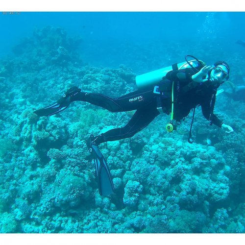 Carousel post from aurrome.