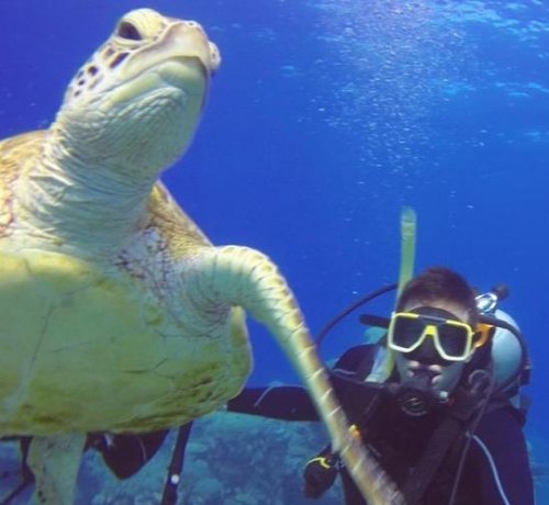 Photo post from drexelstudyabroad.