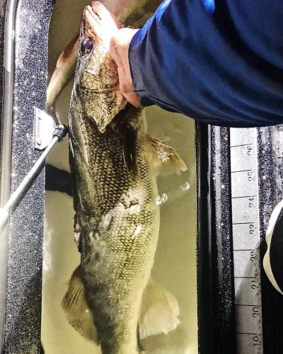 Carousel post from epolodgefishingteam.
