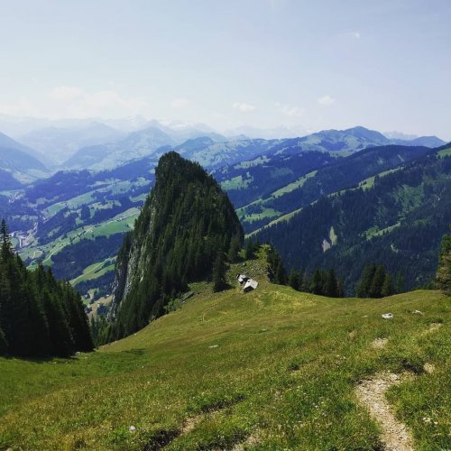 Carousel post from hungryhollowfarm.