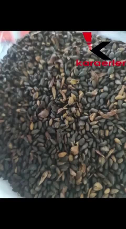 Video post from karaerlermakina.