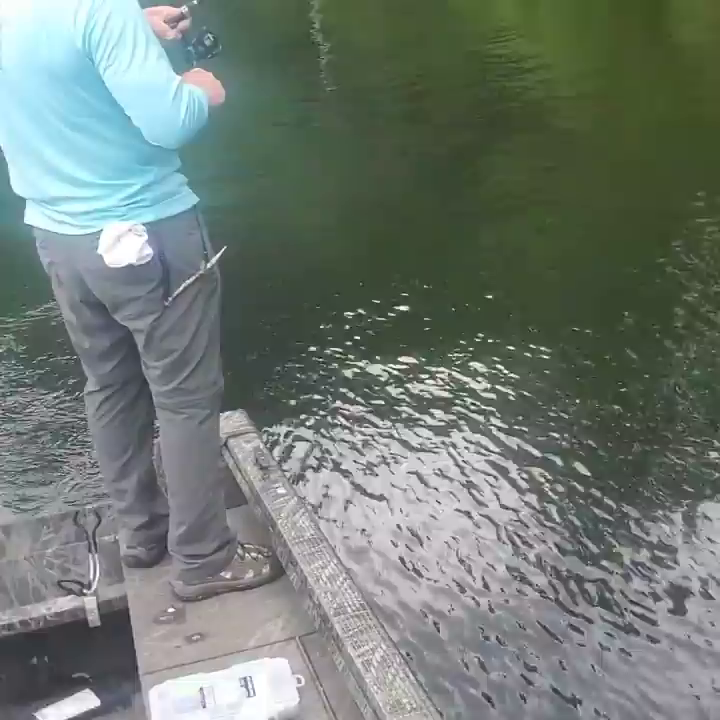 Video post from reddogguideservice.
