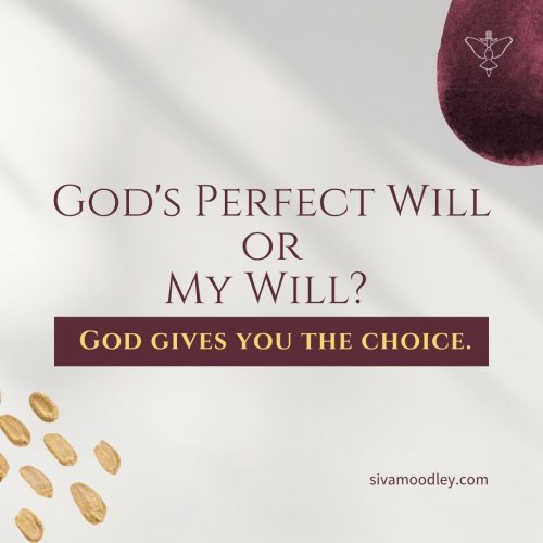 Photo post from drsivamm.