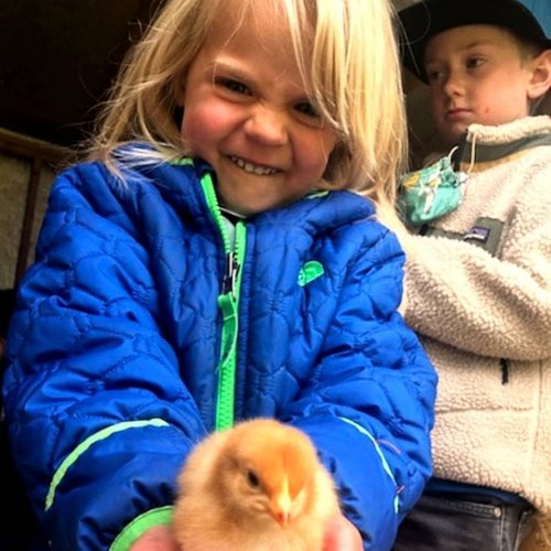 Carousel post from hungryhollowfarm.